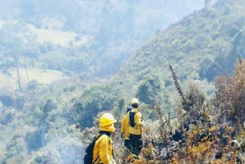 Bomberos de Bogotá atienden un