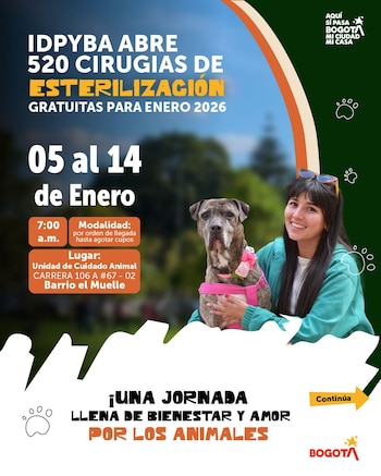 El programa de esterilización beneficia