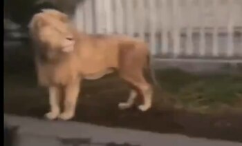 Los hechos habrían ocurrido en