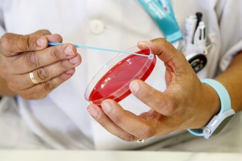 Personal técnico de laboratorio prepara