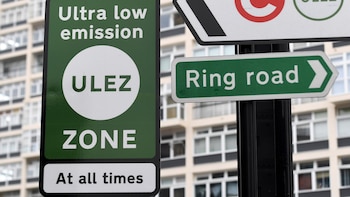 Expertos advierten de un falta