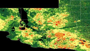 Los colores definen las zonas