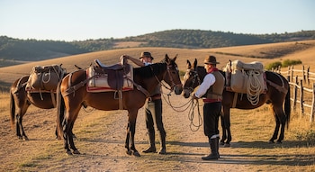 Dos hombres con sombreros ajustan aparejos a tres caballos con sillas y alforjas en un camino de tierra. Al fondo se ven colinas secas y un cercado.