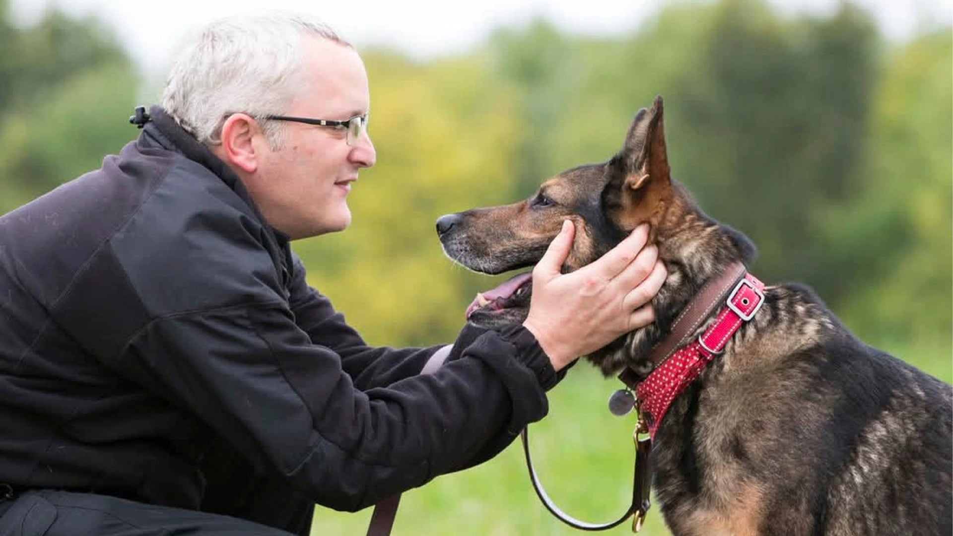 Cómo gestionar el entorno para el bienestar del perro.(Instagram/@k9finn)