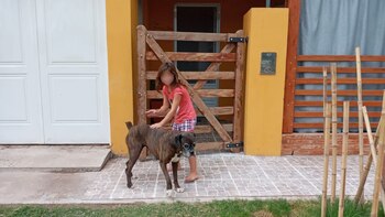 El frente de la casa