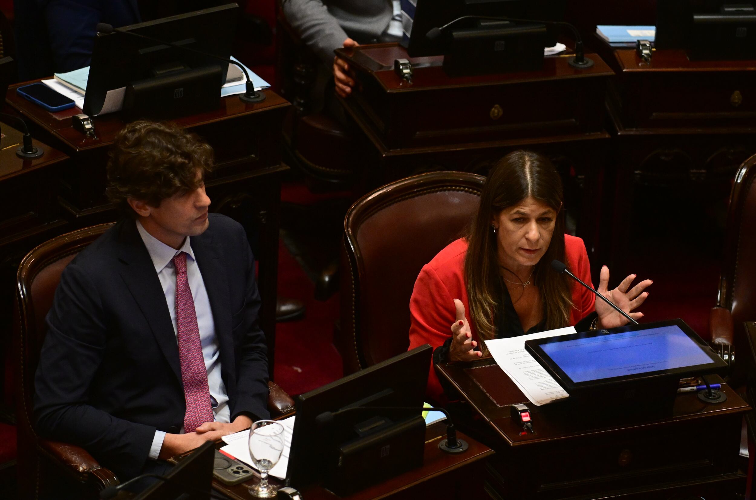 La senadora y titular de la comisión de Acuerdos de la Cámara alta, Guadalupe Tagliaferri