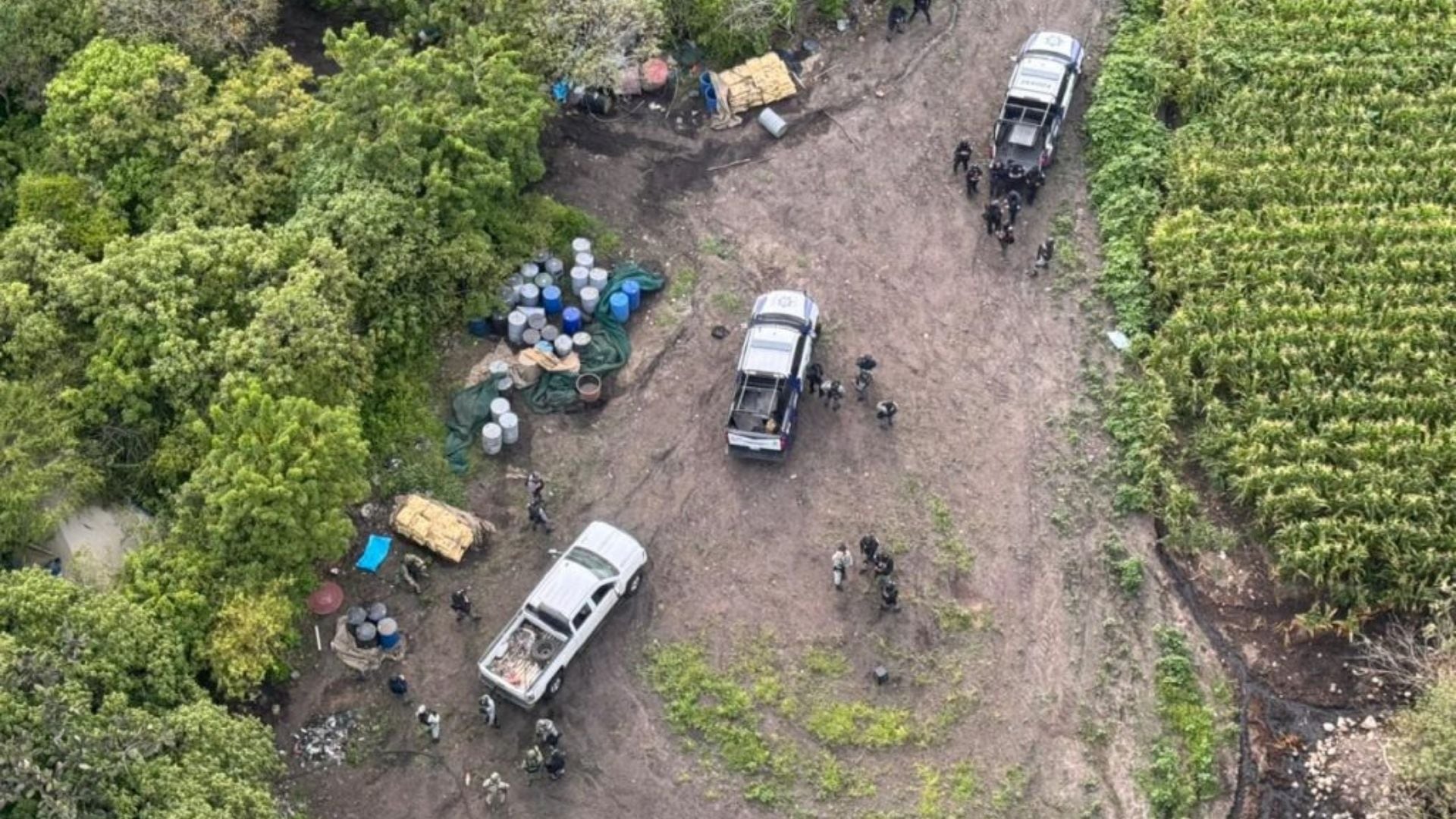 Despliegue operativo en la zona serrana donde se localizó el narcolaboratorio.
Foto: SSyP