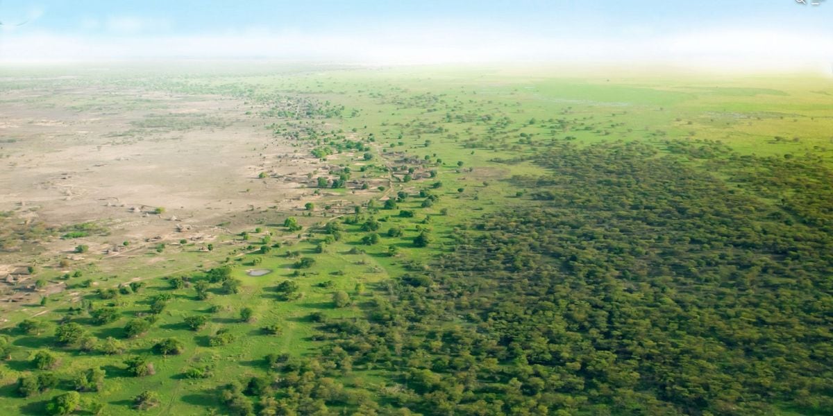 La Gran Muralla Verde del Sahara busca detener la desertificación y restaurar tierras degradadas en el Sahel africano (UN)