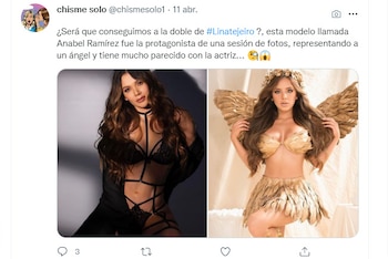 Usuarios en las redes sociales