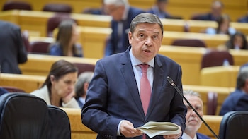 Planas aboga por mantener el