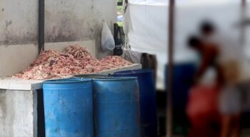 La Secretaría de Medio Ambiente