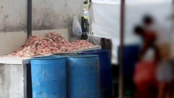 Desmantelan planta ilegal de carne