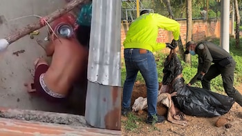 Maltrato animal en Bucaramanga: video registró brutal golpiza contra una perrita que luego fue hallada muerta