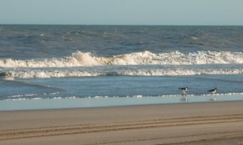 La Argentina tiene más de 4700 km de costa, que se encuentra amenaza por las consecuencias del cambio climático