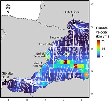 Mapa del mar Mediterráneo occidental