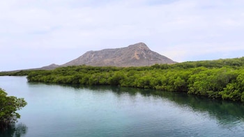 La degradación de los manglares compromete cerca del 20% de los ingresos del turismo en República Dominicana, según investigación