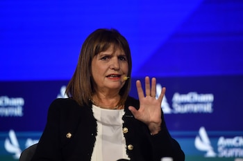 Patricia Bullrich (Maximiliano Luna)