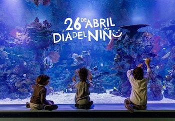 Imagen 4UA6NYTSJBAGBBHX7HCGRLZAOU