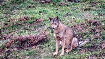 El Supremo ratifica la anulación
