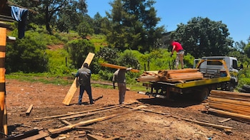 Franja aguacatera de Michoacán: Profepa desmantela centro forestal clandestino en San Miguel del Monte