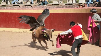 Celebración de la época virreinal