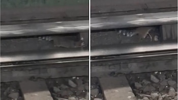 Metro CDMX y Metrobús hoy