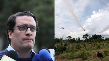 Gobierno impone duras condiciones al plan piloto de aspersión aérea contra cultivos ilícitos: “No es para experimentar”