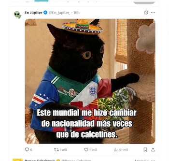 Un gato negro usa un sombrero de paja y una camiseta con varias banderas de fútbol. Contiene un texto sobre cambiar de nacionalidad en el mundial