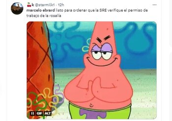 memes marcelo ebrard rosalía