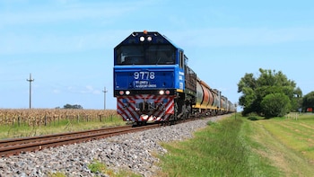 El Gobierno convocará a mineras y operadoras para optimizar los trenes de carga de la puna salteña