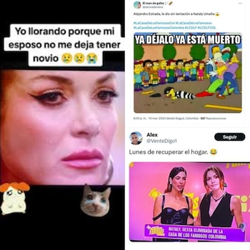 Alejandro Estrada reaccionó a los