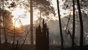 Incendios-La Junta amplía hasta el 2 de agosto la alerta por riesgo meteorológico de incendios forestales