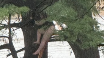 El rescate de una menor