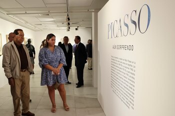 La exhibición estará abierta al