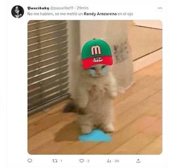 Los mejores memes de la