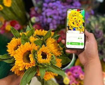 Mercado de Flores se digitaliza.
