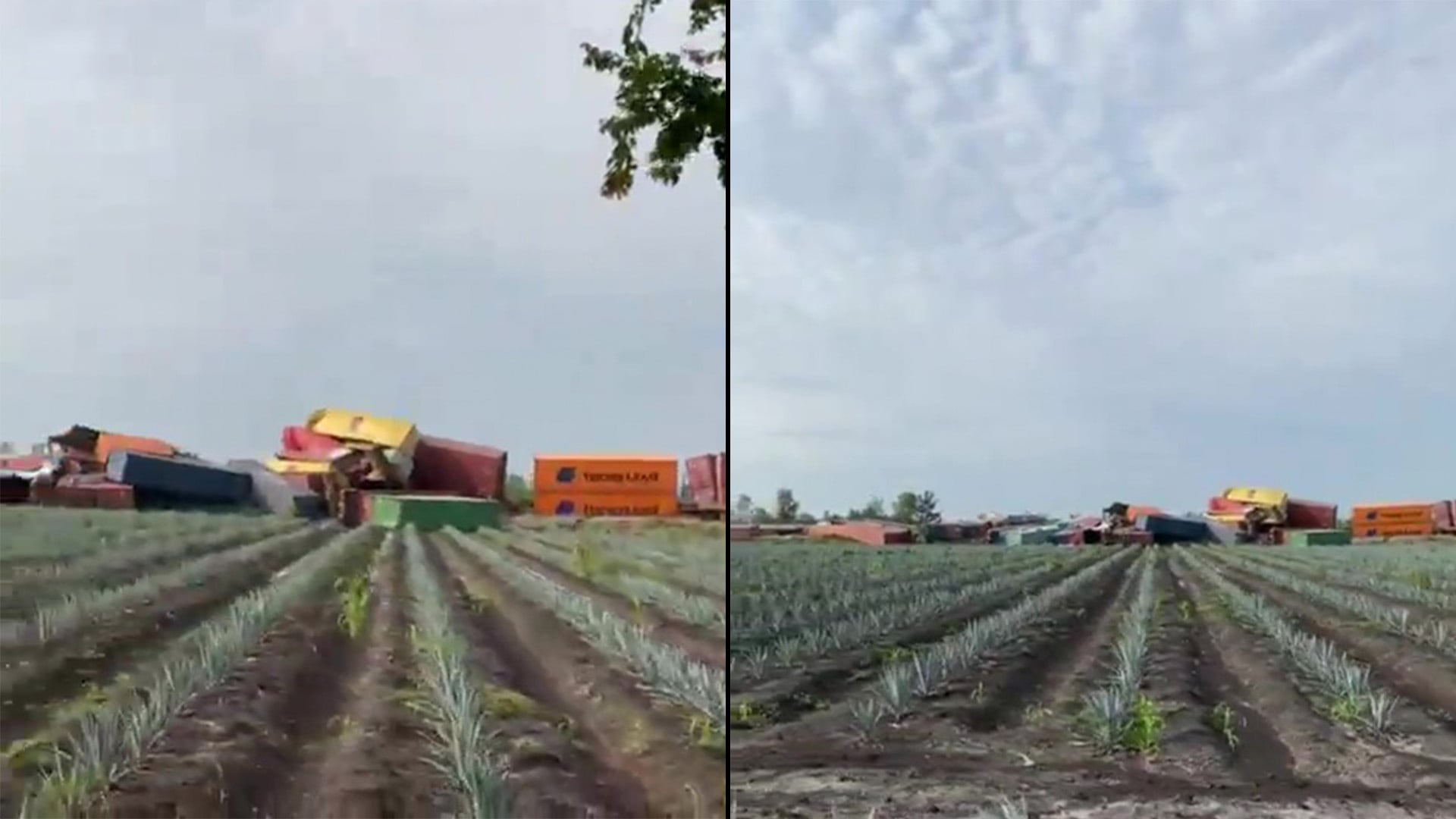 accidente, tren, Jalisco