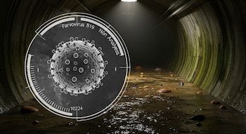 Representación digital de un parvovirus B19 en un círculo de análisis, superpuesta en un oscuro túnel de alcantarillado con aguas residuales y una luz cenital.
