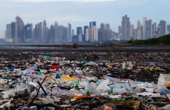 A las playas van a parar desechos de todo tipo, entre ellos botellas plásticas, latas, envases de foam, bolsas, restos de muebles, llantas, electrodomésticos y otros materiales contaminantes que impactan negativamente la fauna, la flora y el entorno marino. (Alcaldía)