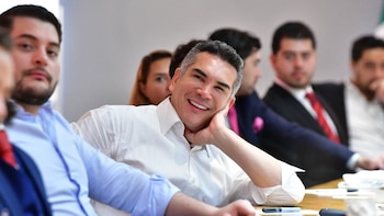 Tribunal Electoral determinó que no