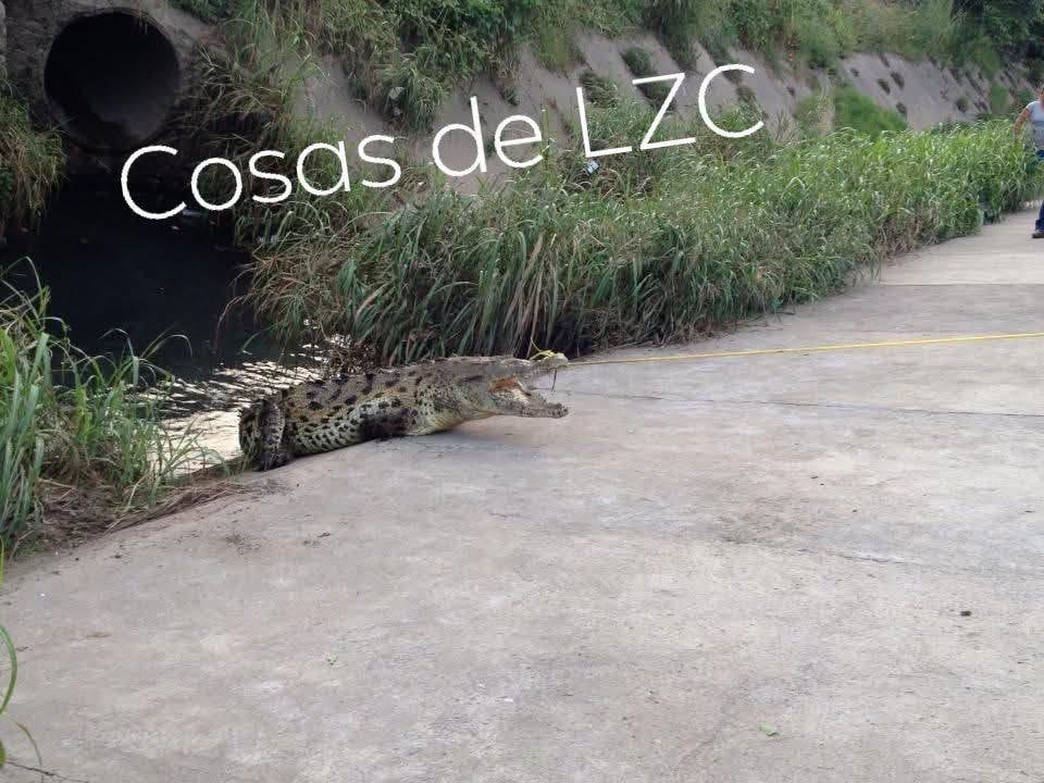 (Facebook / Cosas de Lázarocardenenses)