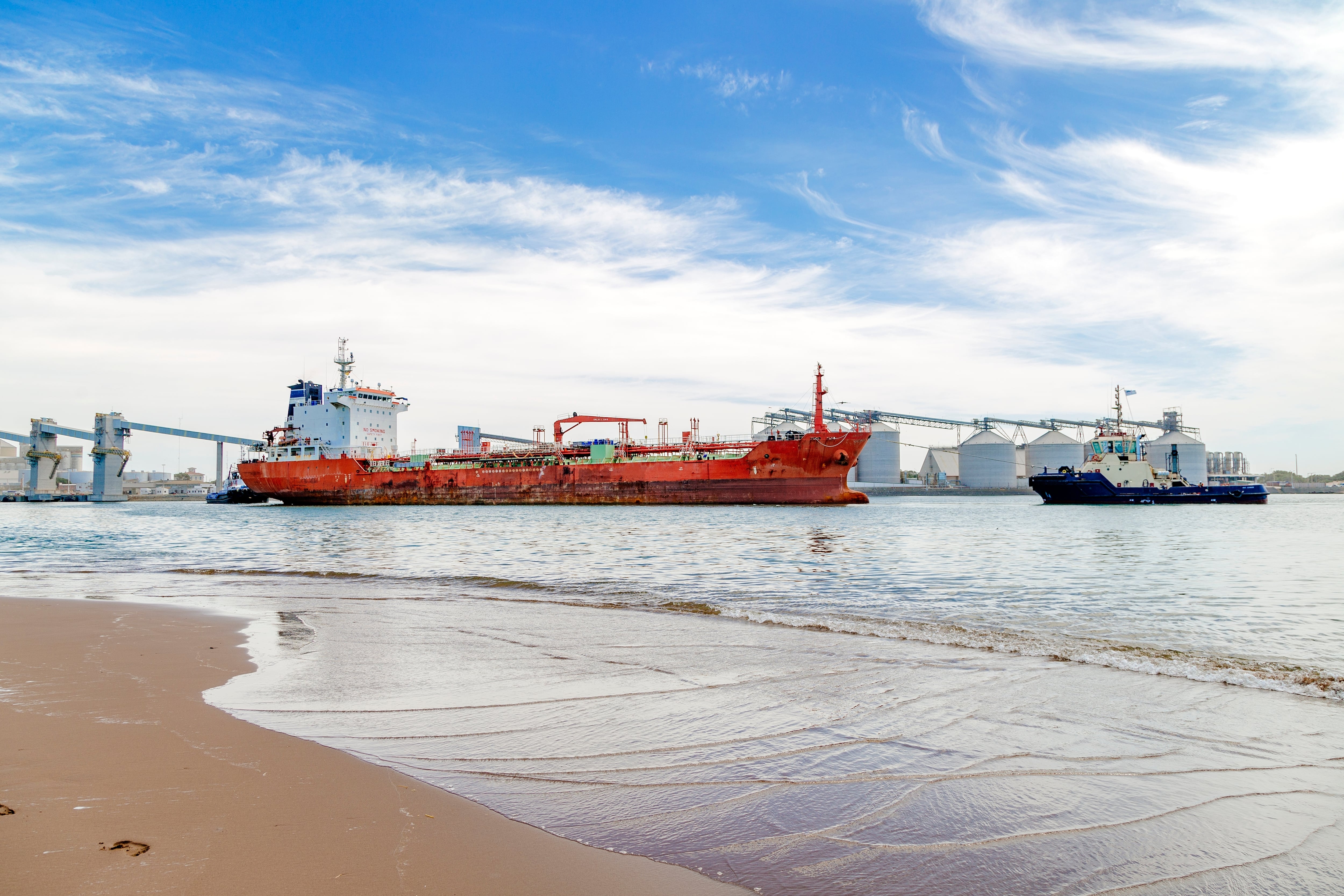 La articulación entre operadores logísticos, autoridades aduaneras y organismos de control sanitario resulta determinante para que el crecimiento de los envíos no se traduzca en cuellos de botella operativos (Foto: Shutterstock)