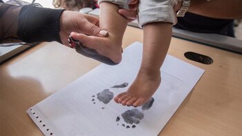 Tras sanción de la Ley