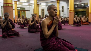 El budismo y la ciencia