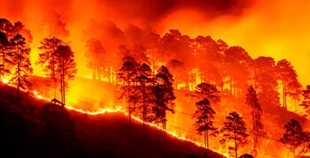 El cambio climático y el