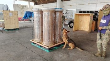 La marihuana incautada fue escondida