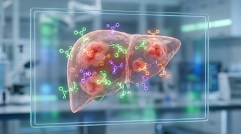 Modelo 3D translúcido de un hígado humano con inflamación, rodeado de moléculas de colores brillantes dentro de un marco de luz en un laboratorio.