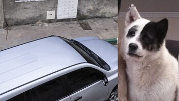 La familia de Kira aseguró