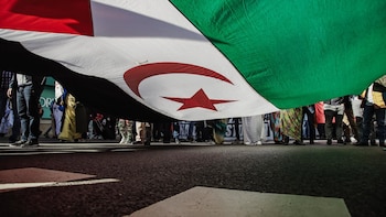 El Frente Polisario en Catalunya ve una "humillación" que la regularización excluya a los apátridas