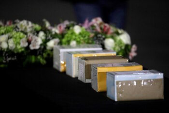 El subdirector de la OPS